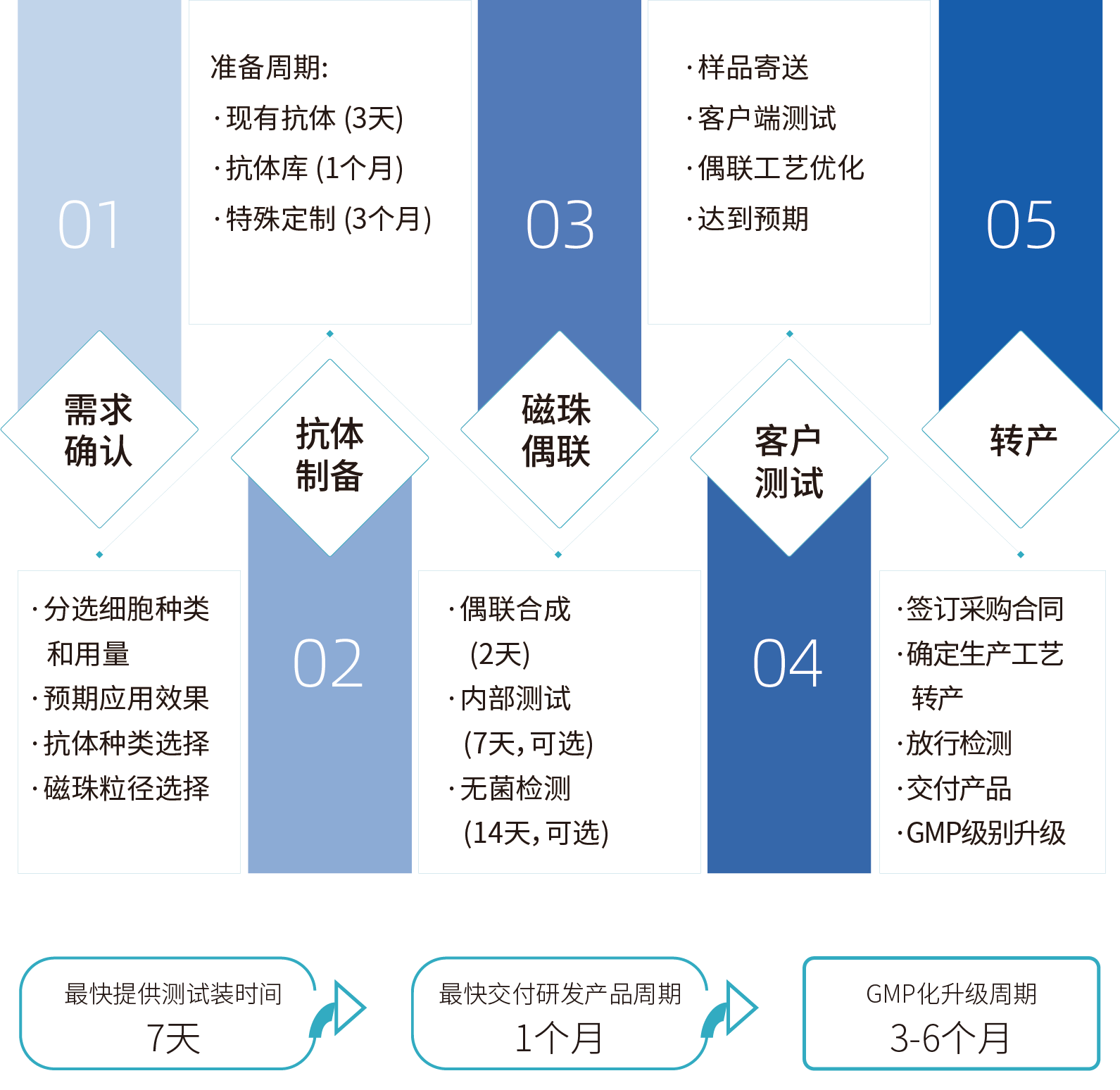 ag尊龙z6mg细胞分选激活磁珠/分选磁珠定制，定制流程