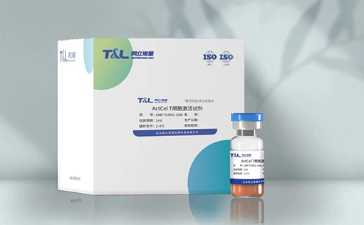 特别推荐—GMP级别ActCel T细胞激活试剂重磅上市！