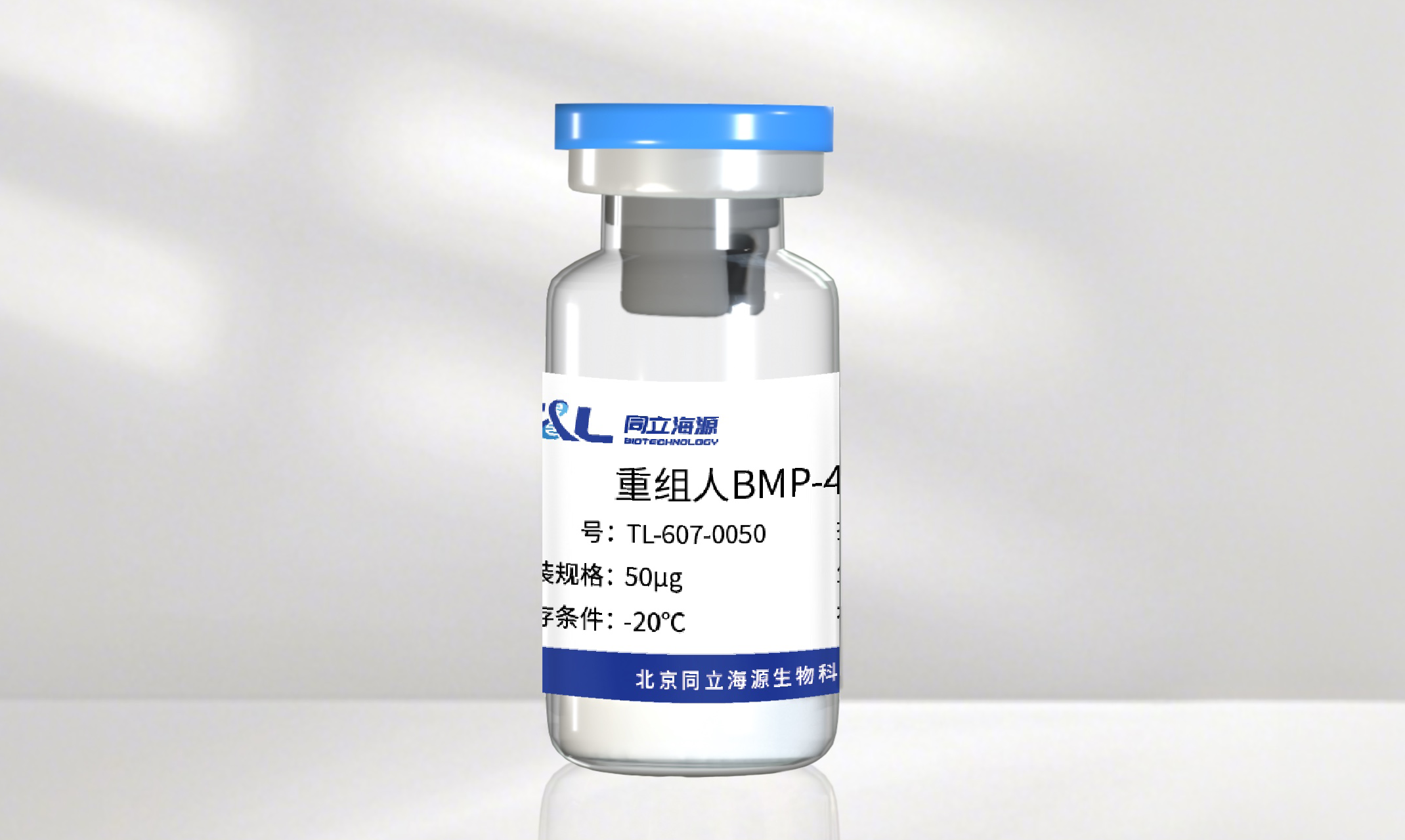ag尊龙z6mg高活性重组人BMP-4蛋白