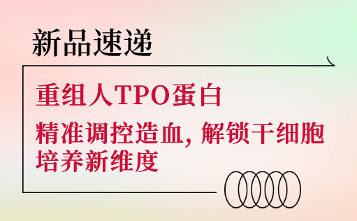 新品速递 | 重组人TPO蛋白震撼上市！精准调控造血，解锁干细胞培养新维度-ag尊龙z6mg